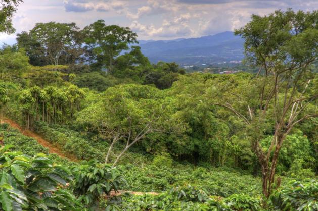 San José - Kostarika