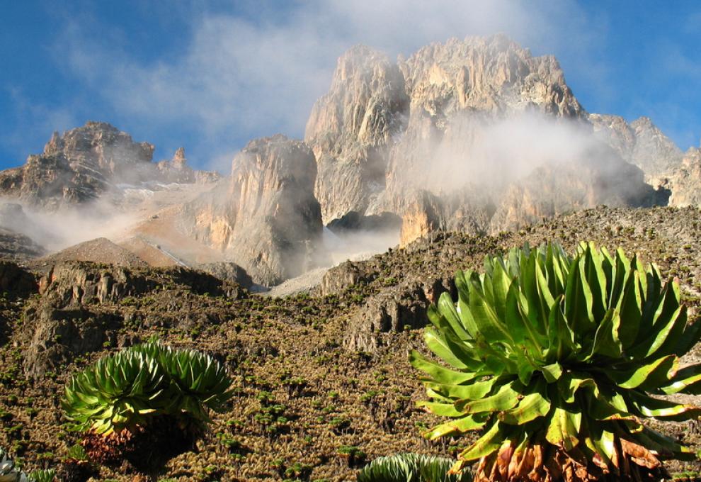 NP Mount Kenya