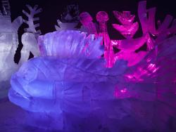 Výstava ledových soch