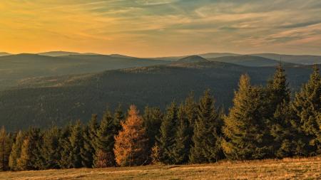 rozhovor s Viktorem Kunou úvodní