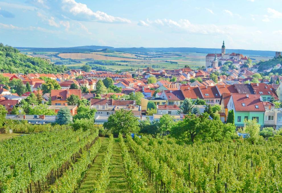 Pohled na vinařský kraj