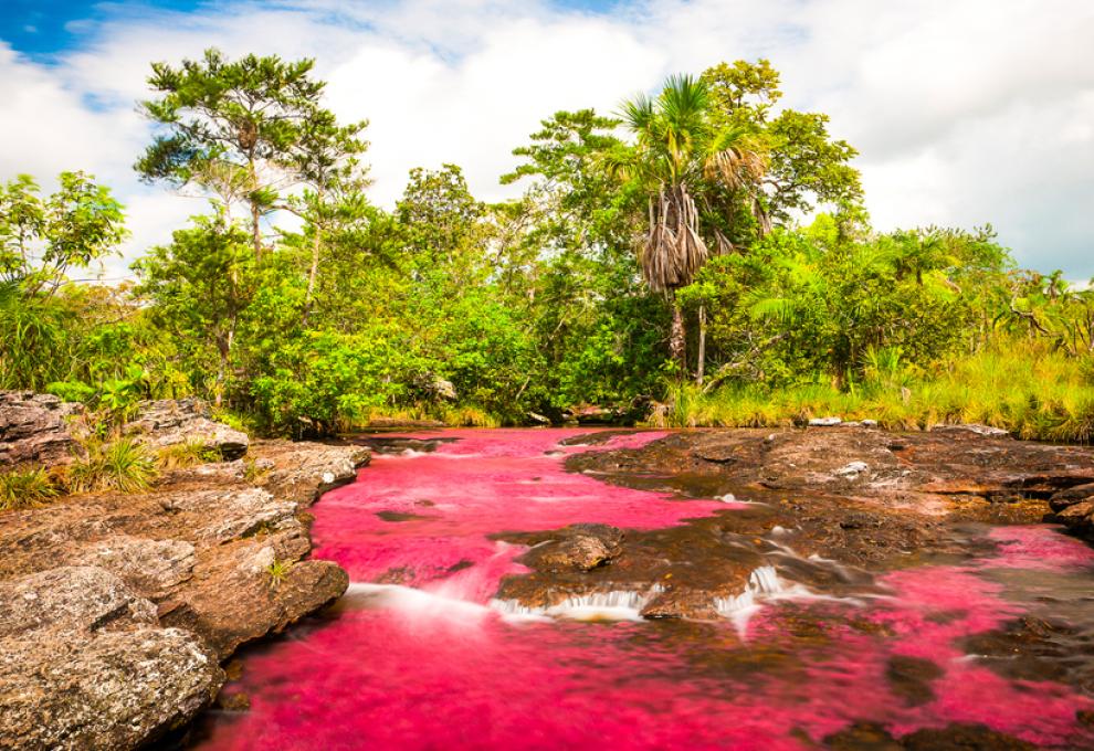 cano cristales úvodní