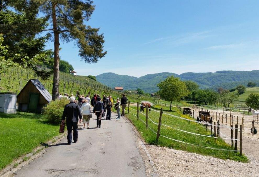 Švýcarsko - Cestovinky.cz